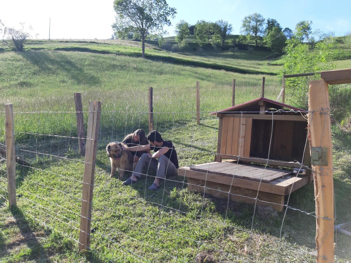 Eguzkitze Alojamiento Rural Lss00085 Abaltzisketa Екстер'єр фото