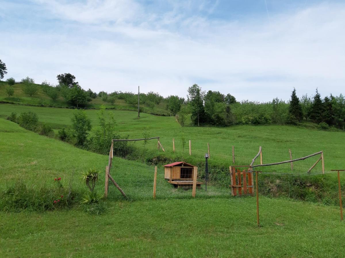 Eguzkitze Alojamiento Rural Lss00085 Abaltzisketa Екстер'єр фото