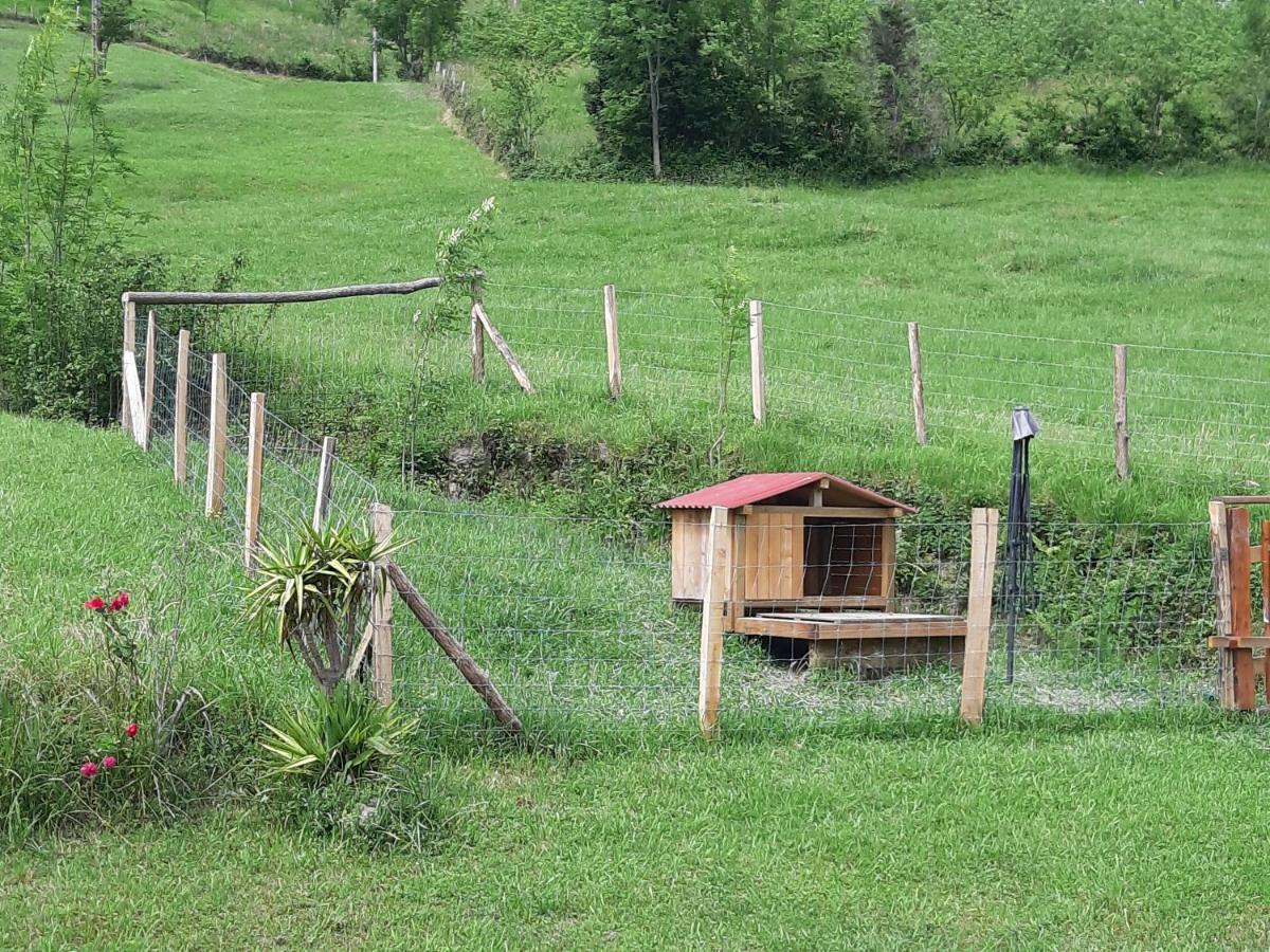 Eguzkitze Alojamiento Rural Lss00085 Abaltzisketa Екстер'єр фото
