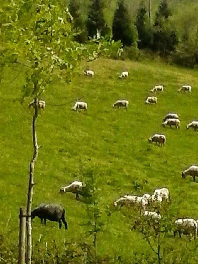 Eguzkitze Alojamiento Rural Lss00085 Abaltzisketa Екстер'єр фото