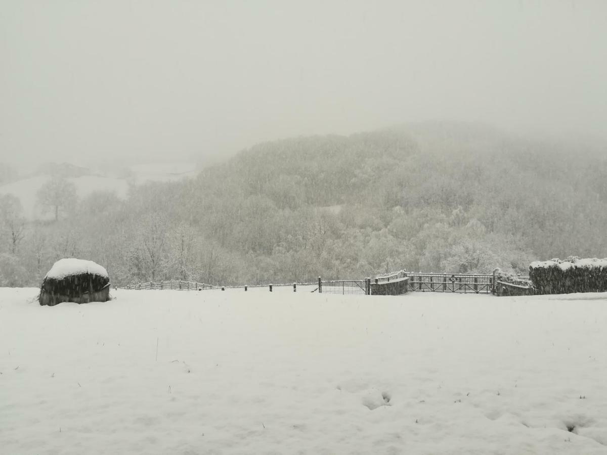 Eguzkitze Alojamiento Rural Lss00085 Abaltzisketa Екстер'єр фото